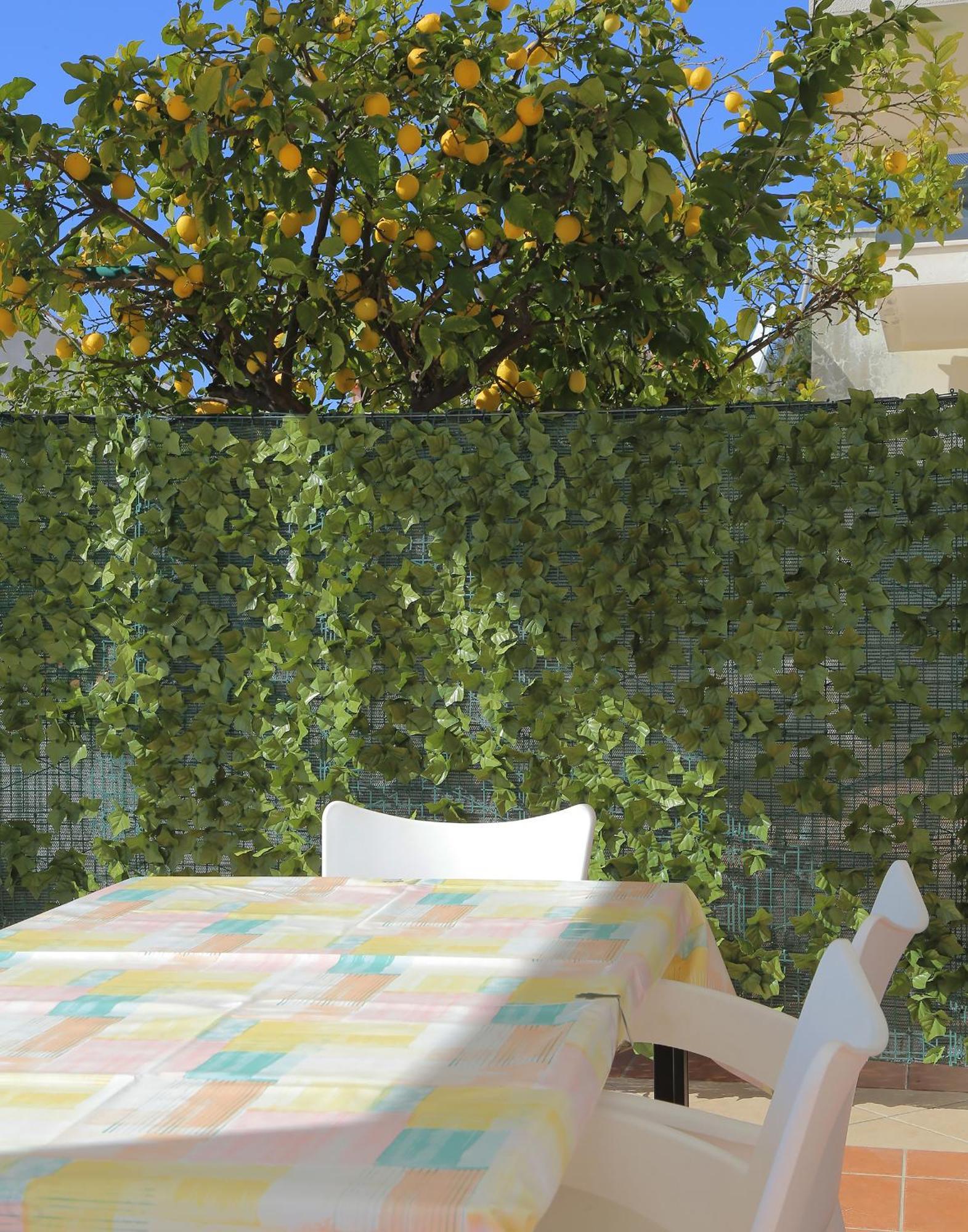 Apartments Isabora Dubrovnik Dış mekan fotoğraf